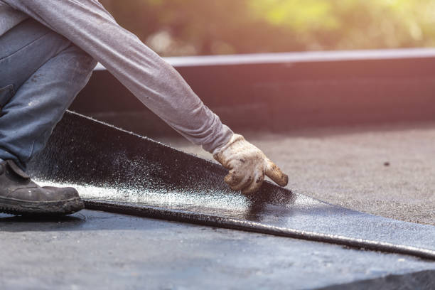 Professional Interior Drainage System technician working in Alamo, IN